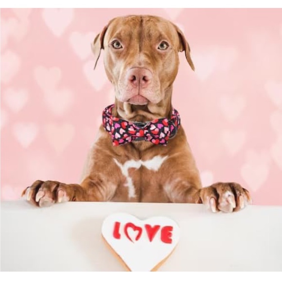 Valentine's Day Dog Collar with Bow - Picture 3 of 4